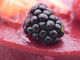 Macro of fresh blackberry on red berry tartlet © Dimitri