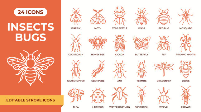 Minimalist coral-orange insects and bugs icon set, flat vector entomology symbols, nature collection, uniform outlines, editable pack.