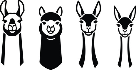 Fototapeta premium A collection of four hand drawn llama and alpaca portraits isolated on a clean white background for design projects