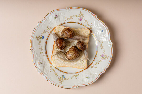 Rethinking modern gastronomy: a visual metaphor for  food cultur