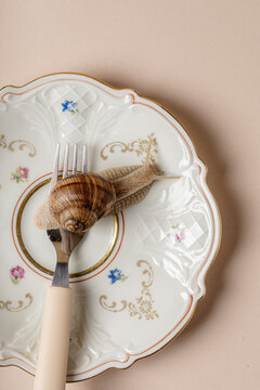 Live garden snail crawling on a fork on a vintage plate