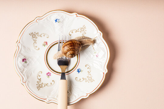 Live snail crawling on a fork on a vintage plate