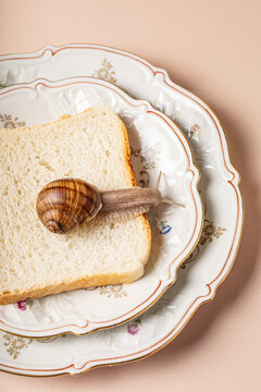 Visual Metaphor of Modern Food Culture