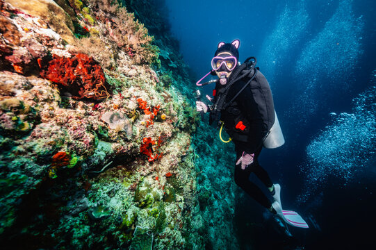 Scuba diver with cat ear hood explores a reef wall