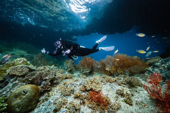 Woman scuba diver exploring a vibrant coral reef