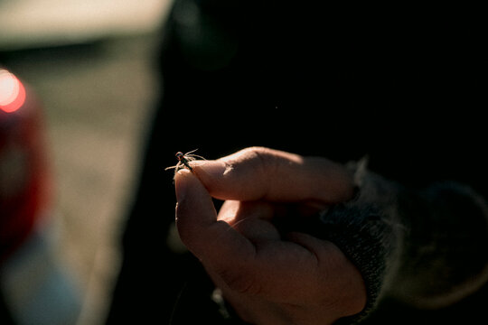 Angler holds a small fishing fly between his fingers in warm light.