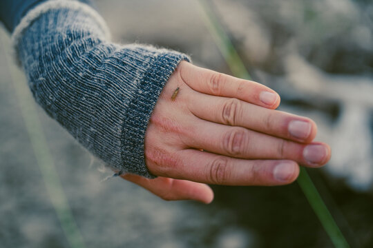 Small aquatic insect rests on an angler's hand beside the river.