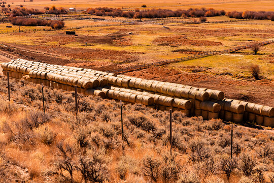 Hay bails rolled and stacked on a farm in Montana