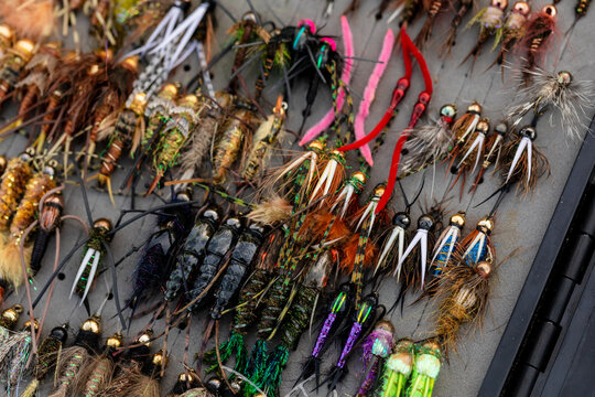 Fly fishing box of flies detail shot