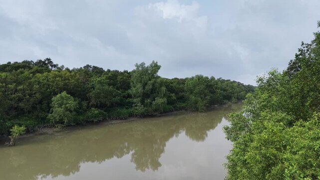 Drone Reveal of Mangrove Waterway in the Sundarbans, Bangladesh