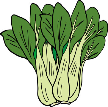 青梗菜
