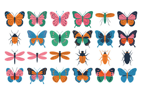 Vector butterfly and insect collection: colorful flat illustration of butterflies, dragonflies, and beetles. Insect clipart set: assorted colorful butterflies, dragonflies, and beetles. 