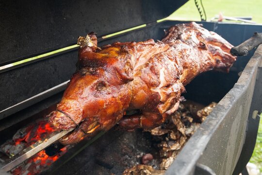 Close up view of a golden brown crispy whole suckling pig slowly roasting on a rotating spit over an open grill outdoor