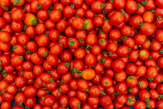 Many cherry tomatoes, background, top view