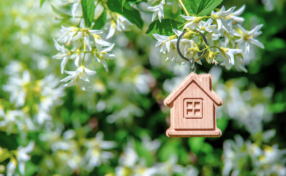 Symbol of the house on the branches of a flowering jasmine
