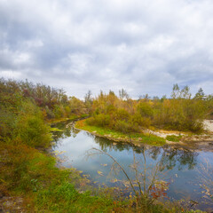 calm river with forest on the coast under a cloudy sky © Yuriy Kulik