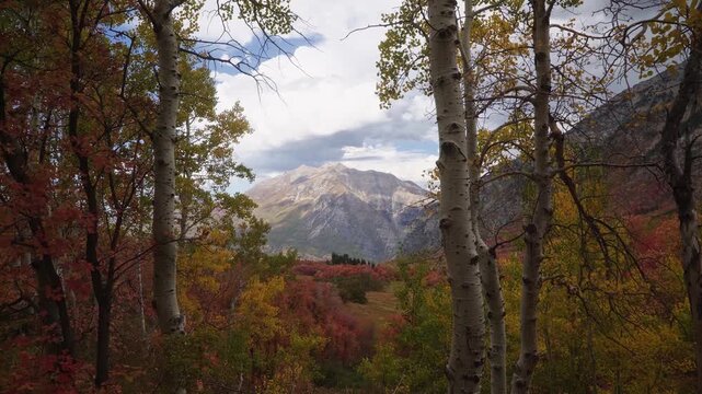 Wide landscape of Mount Timpanogos and the Wasatch Mountains from Kyhv Peak near Provo, Utah, on a sunny fall day, on a hike to buffalo peak surrounded by colorful vibrant autumn colored trees in Octo