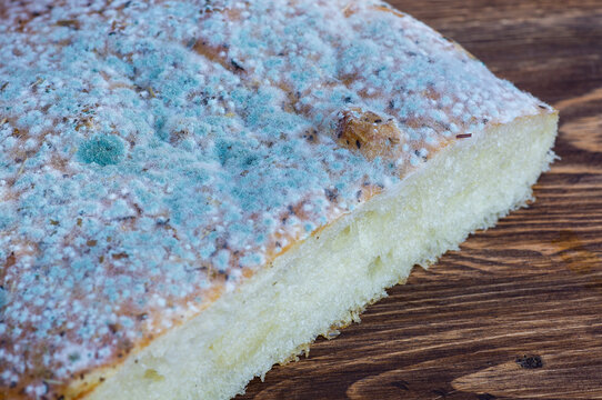 A slice of bread heavily covered in blue-green and white mold on a wooden table