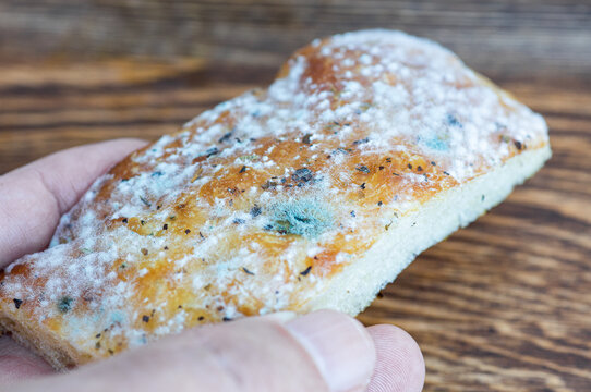 A hand holding a slice of moldy bread over a wooden background