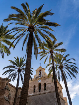 Palm Trees and Historic Clock Tower in Almeria