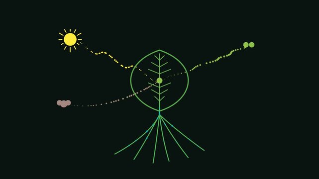 Animated infographic of plant photosynthesis process with sunlight, nutrients, and carbon dioxide flowing into leaves and roots on dark background, for science and, educational projects