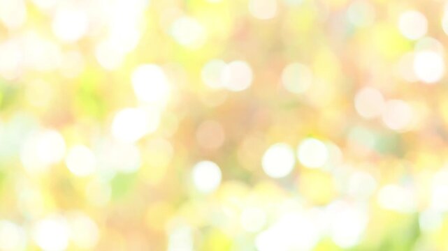 木漏れ日のわずかに揺らぐスローモーション。やわらかい光のボケ。あたたかい色合い。眩しい光。穏やかな秋の光の風景。