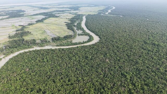 Sundarbans Mangrove Forest and Winding Waterway Beside Farmland, Aerial View, Bangladesh