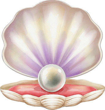 pearl on a shell