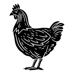 Naklejka na ściany i meble Chicken standing in side view with detailed feathers, comb and tail. Black and white engraving illustration suitable for farm, poultry, food packaging and rustic designs.
