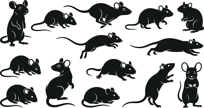 Black mouse silhouette icons bundle vector design elements featuring running standing rats rodents pests and laboratory animals shapes