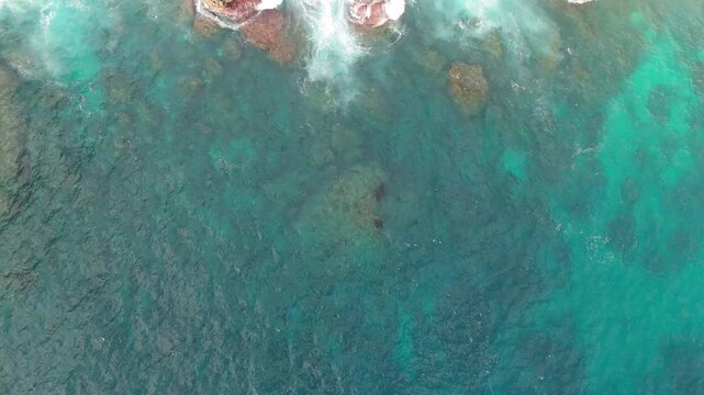 Breathtaking cinematic drone flight above Manta Point ocean waters in Nusa Penida &ndash; Spectacular top down view of wild manta rays gliding in clear turquoise sea during bright daylight, video 4k