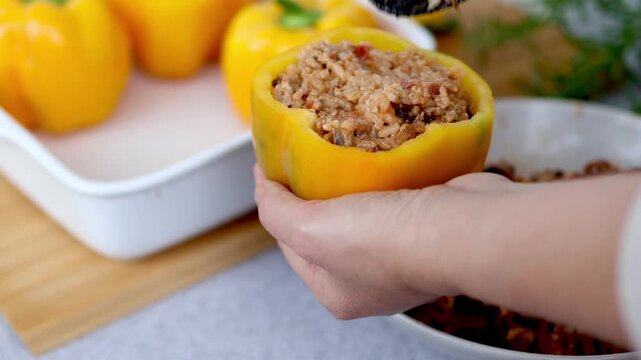 Close-up of woman's hands stuffing yellow bell peppers with minced meat and rice in real time 4k footage. Concept of domestic cooking, preparing healthy homemade dinner, and traditional family recipes