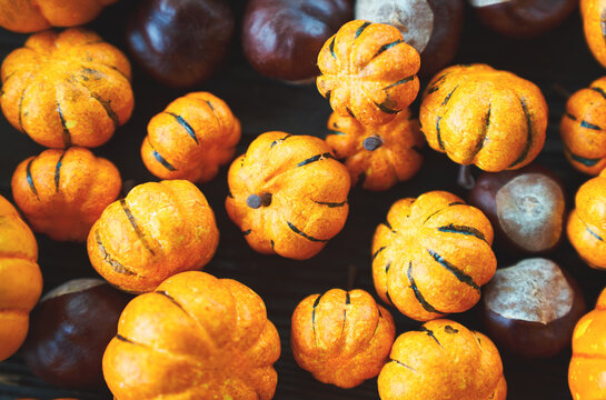 Small decorative pumpkins and chestnuts lie on a dark background