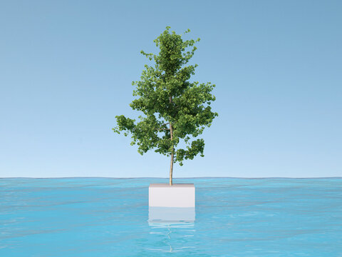 3D Rendering, tree on base in water