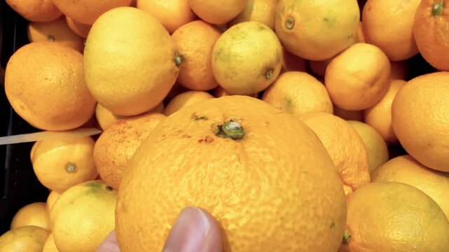 Hand Picking a Satsuma From a Crate of Citrus Fruit