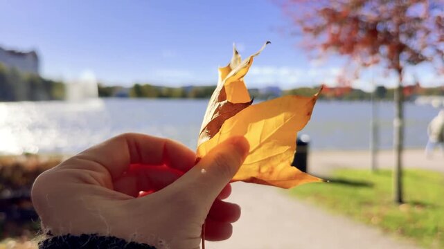 Autumn Leaf in Focus With an Elderly Couple Blurred Behind