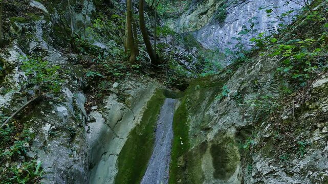 Close up of a small thin waterfall trickling down a rounded rock surrounded by mossy boulders. Detailed stream of fresh mountain water flowing through green moss stones outdoors.