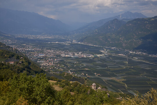 The Etschtal (Adige Valley) between Merano and Bolzano, covered by extensive areas of organic apple orchards&mdash;the region's flagship product.