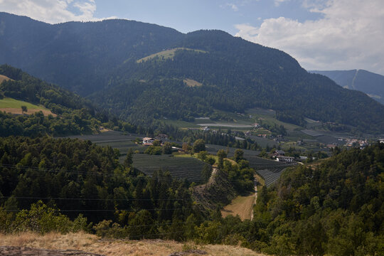 The Etschtal (Adige Valley) between Merano and Bolzano, covered by extensive areas of organic apple orchards&mdash;the region's flagship product.