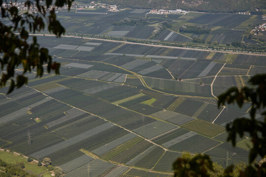 The Etschtal (Adige Valley) between Merano and Bolzano, covered by extensive areas of organic apple orchards&mdash;the region's flagship product.