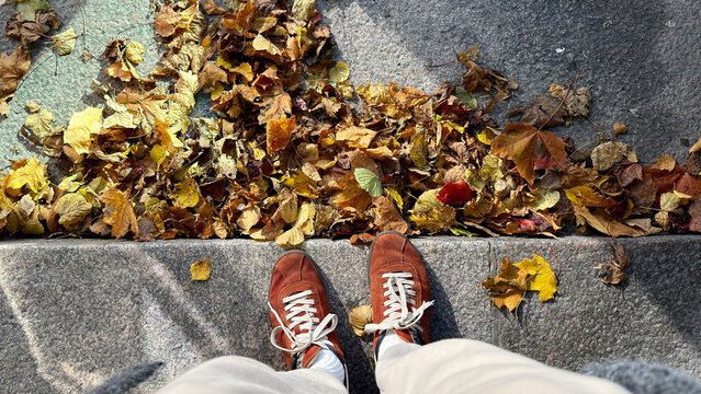 Looking Down at Shoes Beside a Pile of Fallen Leaves