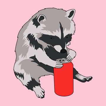 Playful Raccoon Holding a Red Blank Soda Can Isolated on Pink Background