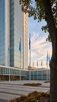United Nations building exterior with flags and trees in evening light  