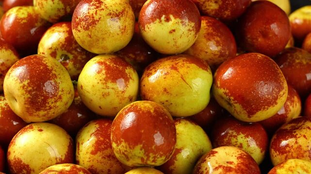 Fresh Jujubes and Chinese Dates in Close-up	