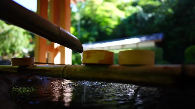 手水舎の竹筒から流れる清らかな水と鮮やかな新緑背景