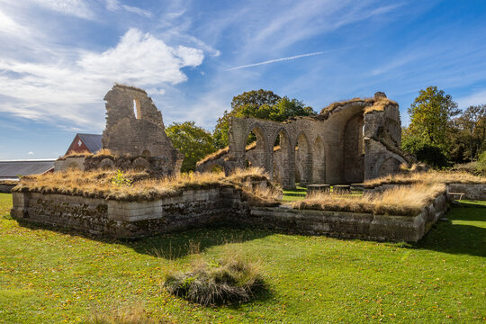 Wide view of the medieval Alvastra Abbey ruins surrounded by grass and autumn trees in Sweden.