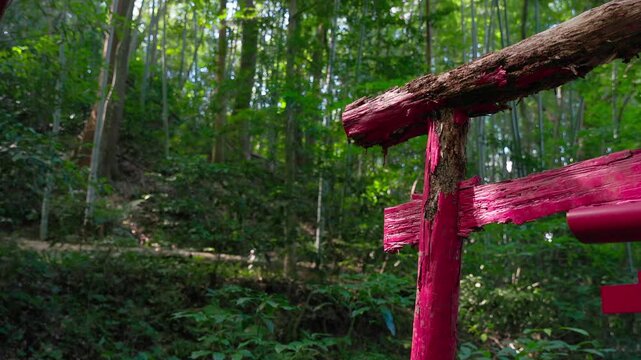 森の中の古い赤い鳥居 朽ちた朱塗りの柱