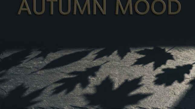 Autumn leaves shadow on stone surface with text mood background