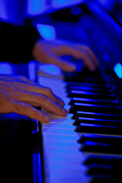Musician Playing Synthesizer Keyboard In Blue Stage Lighting Close Up