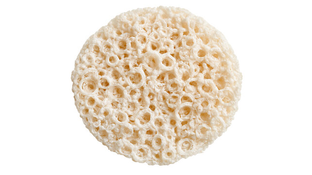 Round porous beige facial cleansing sponge with textured honeycomb surface